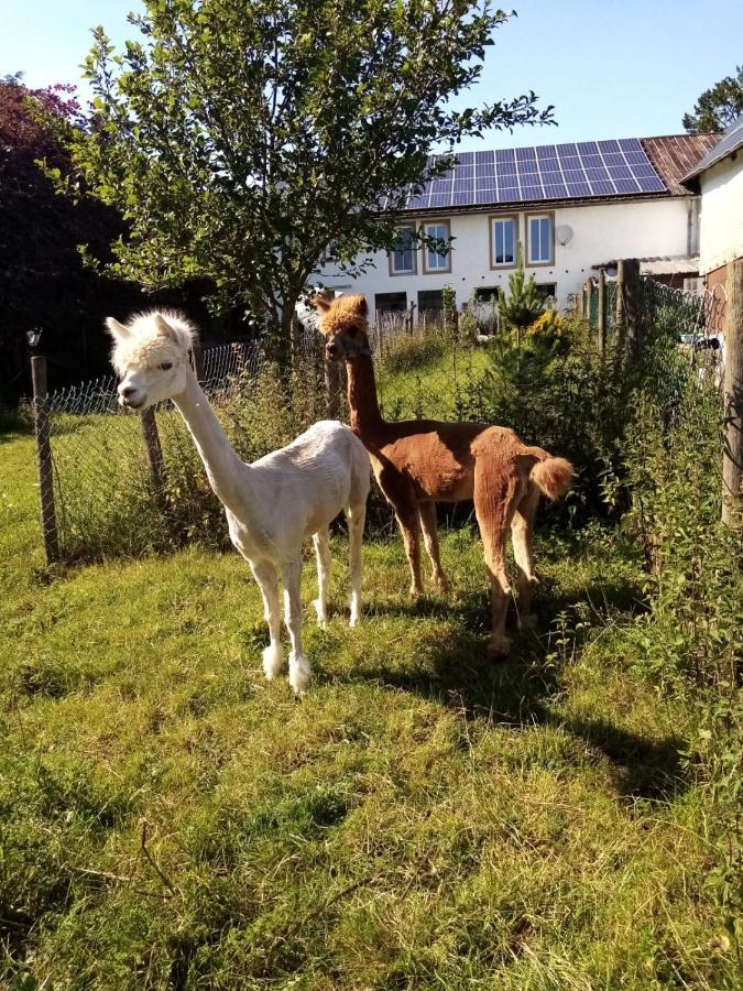 Herzfennerhof Mobilheim Auw bei Prum Экстерьер фото